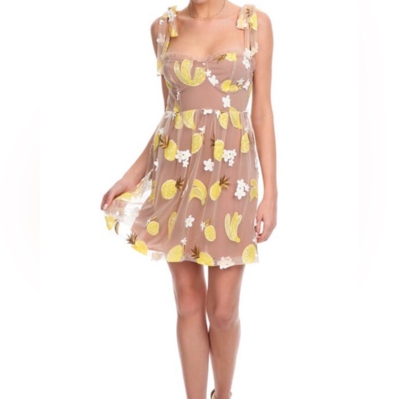 For Love And Lemons Dresses & Skirts - For Love & Lemons Yellow Pineapple Embroidered Mini Dress on Tan Sheer